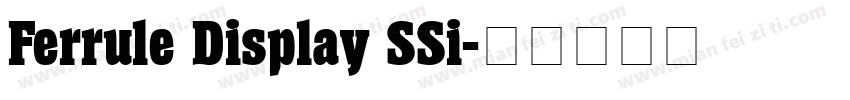 Ferrule Display SSi字体转换